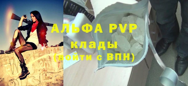 спиды Богородицк