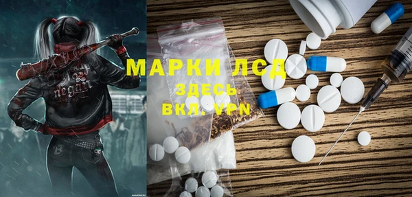 спиды Богородицк
