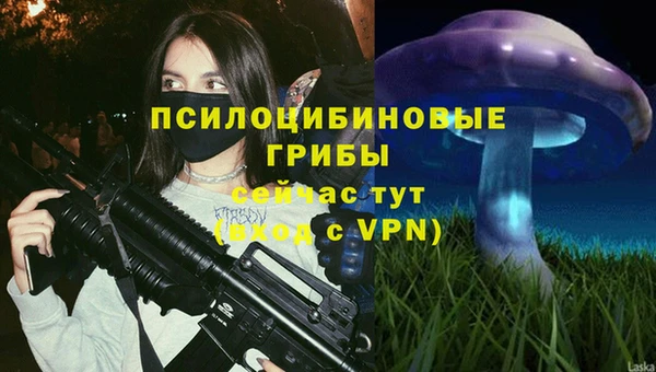спиды Богородицк