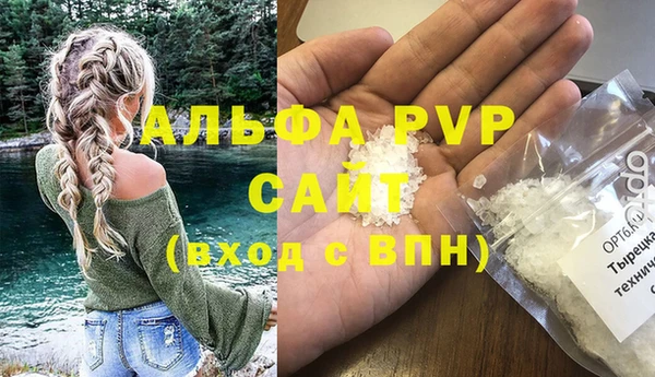 спиды Богородицк